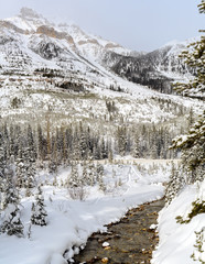 Winter landscape of the Kootenay National Park