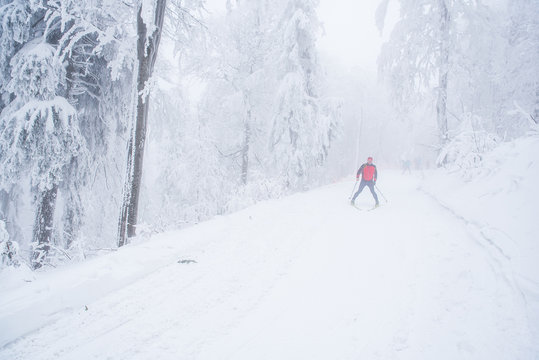 Nordic ski in Beautiful white winter forest in snow, original photo with edit space