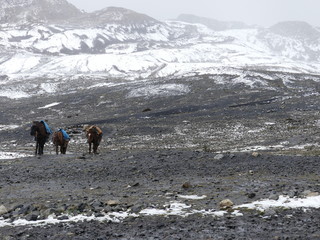 Glacier de Pastoruri à Huaraz dans la Cordillère des Andes au Pérou