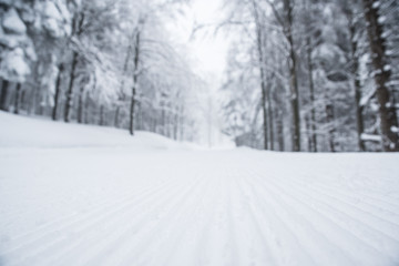 Fototapeta na wymiar Nordic ski track in forest, sport photo, edit space