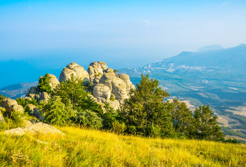 Pines growing on rocks at the top of Demerdzhi Mountain in Crimea, in Russia