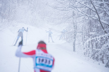 Professional Cross country skating in white winter forest. Original sport photo, winter game pyeongchang 2018