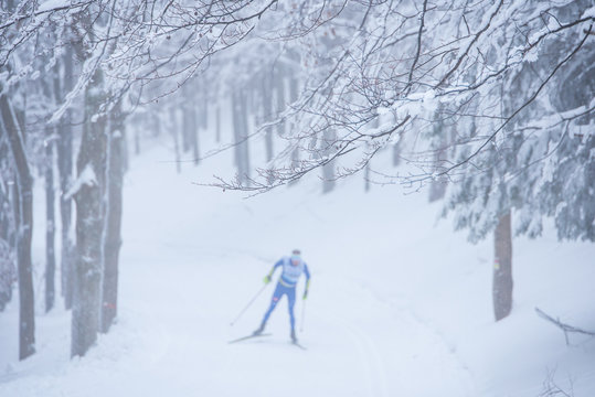 Professional nordic skier the race