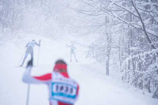 Professional Cross country skating in white winter forest. Original sport photo, winter game pyeongchang 2018