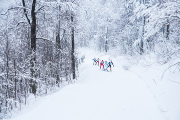 Walk in winter woods. Snow world. The track for cross-country skiing. Beautiful forest trails of...