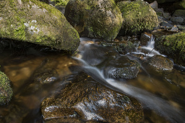 L'eau qui coule entre les pierre dans un ruisseau