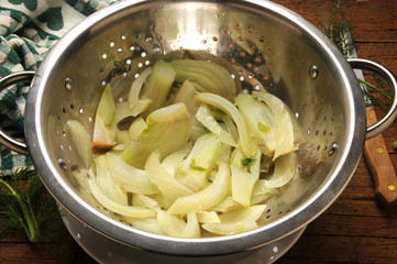Foeniculum vulgare Hinojo Obični Finocchio Fennel hervido Finocchi boiled fervido bolliti kokt...