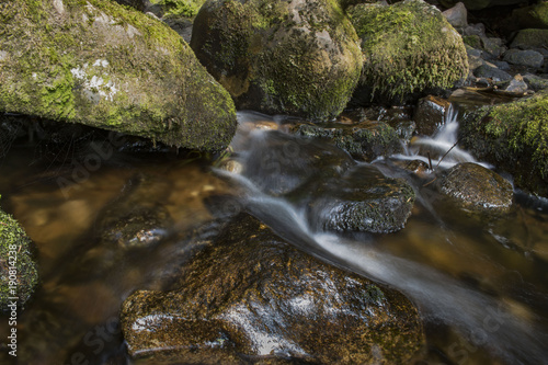 Leau Qui Coule Entre Les Pierre Dans Un Ruisseau Stock