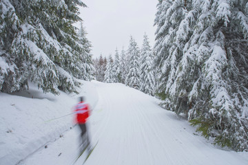 Professional nordic ski race, cross country competition, athlete in white winter nature. Original sport photo, winter game, South Korea 2018