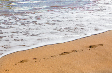 Sea waves splash on the sea shore
