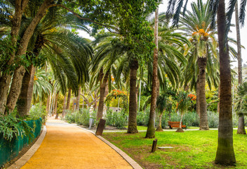 Amazing view of cactus park area in Garcia Sanabria park. Location: Cacti garden in Santa Cruz de Tenerife, Tenerife, Canary Islands. Artistic picture. Beauty world.