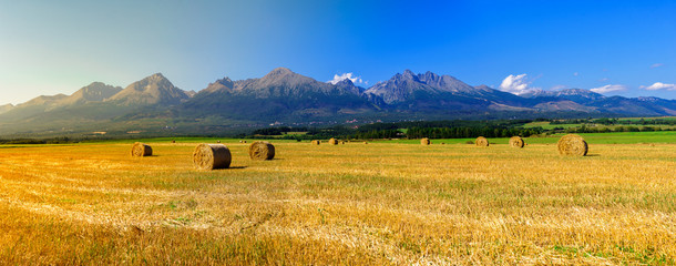 Hay on the field in summer sunset with mountains background  - obrazy, fototapety, plakaty