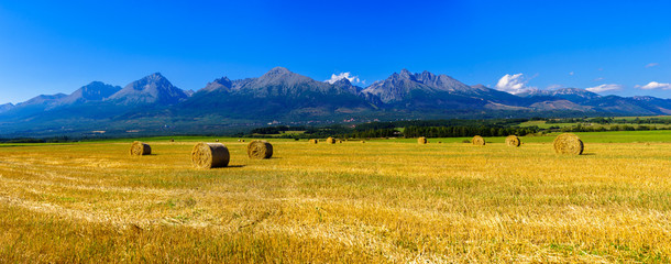 Hay on the field in summer sunset with mountains background 