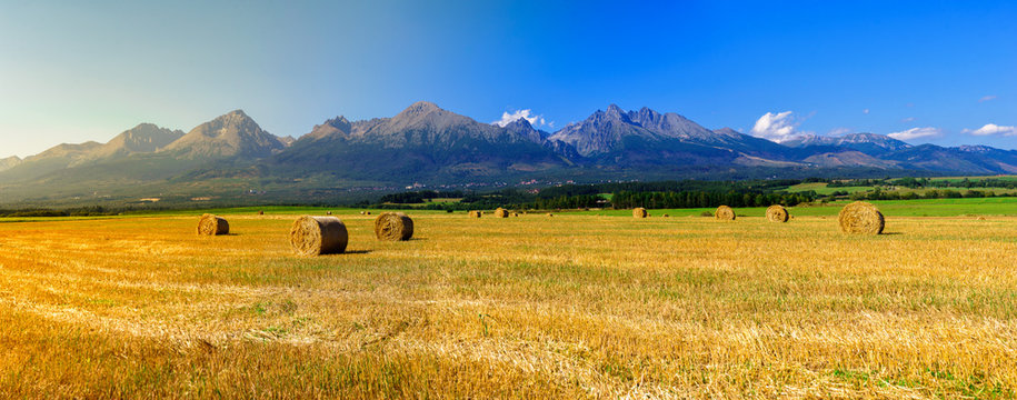 Hay on the field in summer sunset with mountains background 