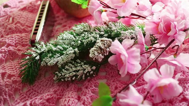 Hobby and lifestyle: Crochet, making artificial flowers and decorations, and music. Knitted pink cloth, balls of thread, a set of hooks, tree branch. Harmonica and cherry blossoms. Pan with Dolly