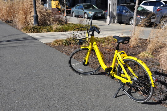 Yellow bicycle. Unusual coloring of the regular individual vehicle.