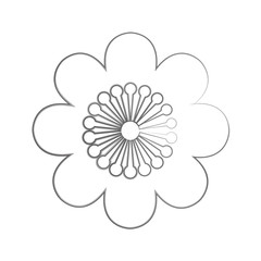 Isolated flower image