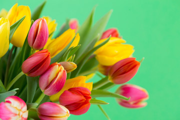 A colorful spring greetings card with tulips for Easter, Mother's Day.