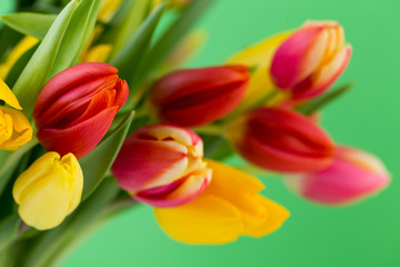 A colorful spring greetings card with tulips for Easter, Mother's Day.