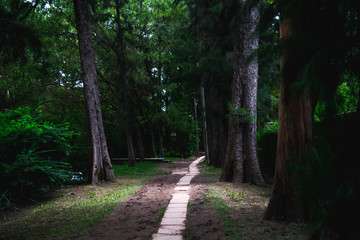 Path