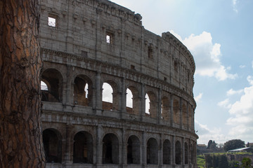 Fototapeta premium Coliseum