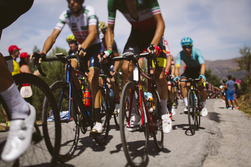 Fototapeta na wymiar Group cyclist professional in a race.