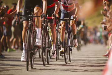 Estores personalizados de deportes con tu foto Group cyclist professional in a race.