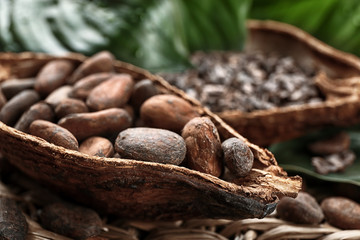 Cocoa pod with beans, closeup