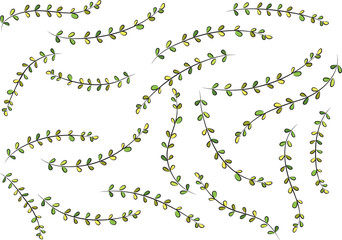 Plant and flower background design