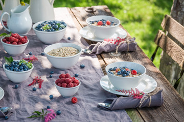 Tasty granola with raspberries and blueberries in sunny day
