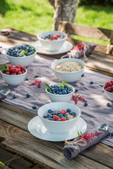 Healthy granola with berry fruits and milk in sunny day