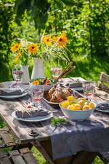 Tasty dinner with chicken and vegetables served in the countryside