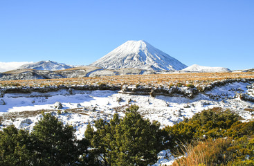 Mt. Ngauruhoe (Mt. Doom in the Lord of the Rings movies) dominates the landscape in this part of...