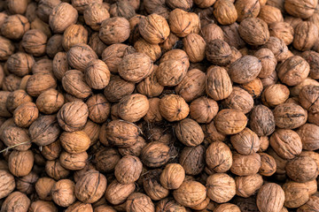 closeup walnuts