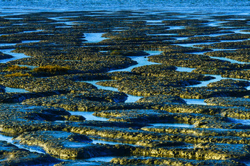 Tide Flat Abstract