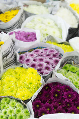 Different beautiful colored flowers for Valentine's day