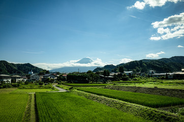 真夏の富士山