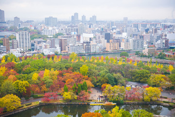 Fototapeta premium Beautiful landscape with autumn leaves of Osaka city view