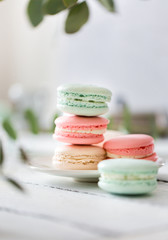 Colorful French or Italian macarons stack on white plate put on wood table with copy space for background. Dessert for served with afternoon tea or coffee break. Beautiful meal background with blank.