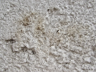 Obraz na płótnie Canvas Close-up of Wall Texture