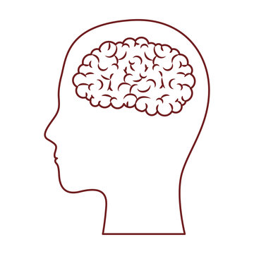human head face brain science mind intelligence vector illustration