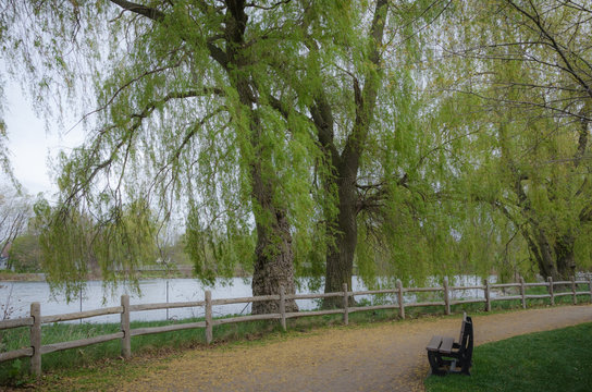 Trail  in Toogood Pond Park