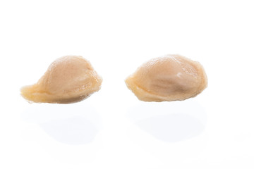 Close up of a mandarin orange seed  isolated on white