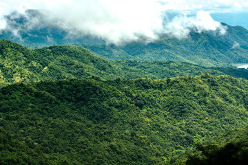 Obraz premium Fog and mountains that care for the season of lonely people, or go with the family on the day of the festival, then enjoy the winter.