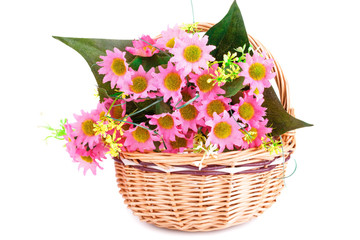 Flowers in basket