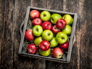 box with fresh red and green apples.