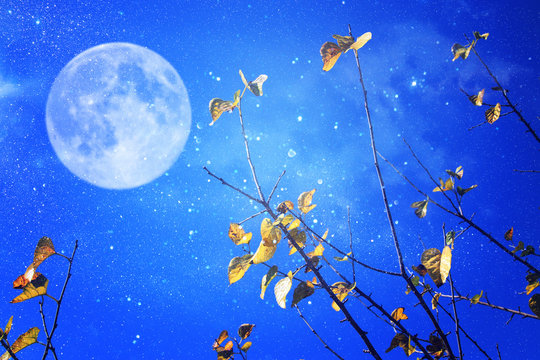 Surreal fantasy concept - full moon with stars glitter in night skies background.