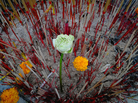 Burning incense and candle near many oblation and flower at the temple.