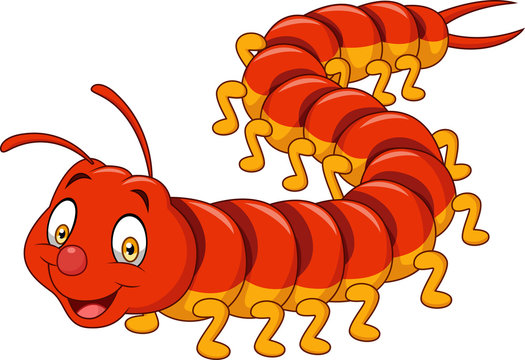 Cartoon centipede isolated on white background Stock Vector | Adobe Stock