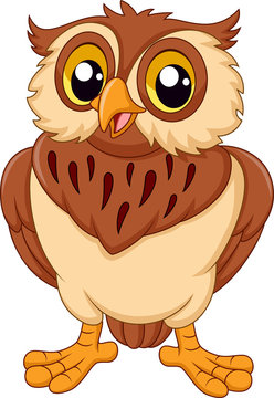 Wise Owl Cartoon Images – Browse 27,609 Stock Photos, Vectors, and Video |  Adobe Stock